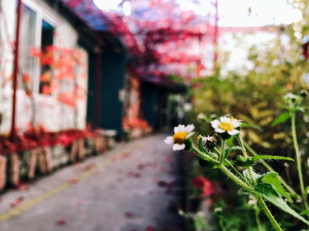 First Met Backpackers Hostel Чэндэ Экстерьер фото